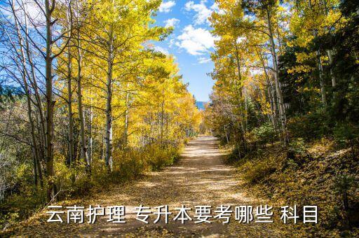 云南在校專升本考試科目,云南護理專升本可報考昆明醫(yī)科大學(xué)