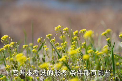  專(zhuān)升本考試的報(bào)考 條件都有哪些