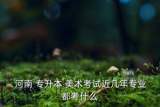  河南 專升本 美術(shù)考試近幾年專業(yè)都考什么