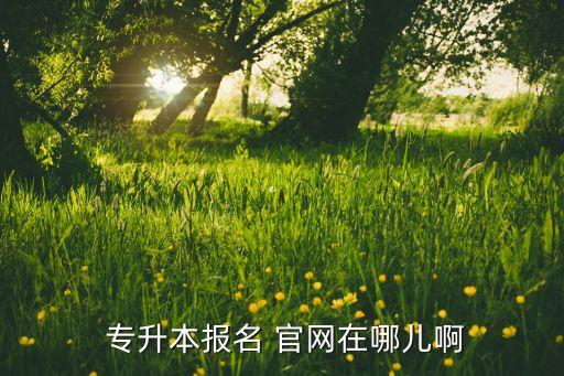  專升本報名 官網(wǎng)在哪兒啊