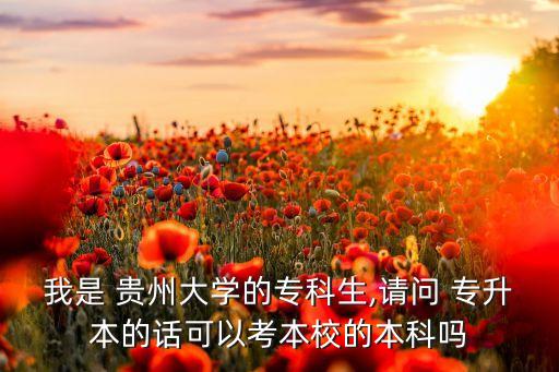 我是 貴州大學(xué)的專科生,請問 專升本的話可以考本校的本科嗎