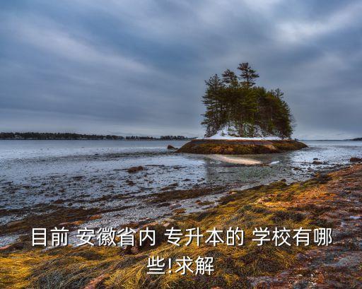 目前 安徽省內(nèi) 專升本的 學校有哪些!求解