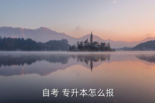  自考 專升本怎么報