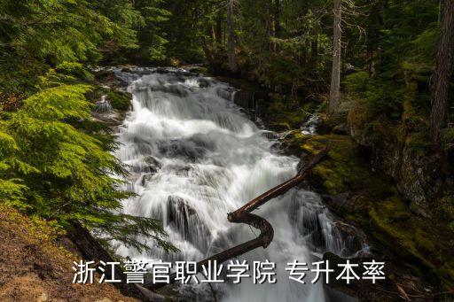  浙江警官職業(yè)學院 專升本率