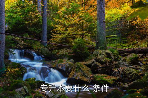 專升本有什么條件,報名專升本需提交?？飘厴I(yè)證書
