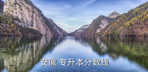  安徽 專升本分數(shù)線