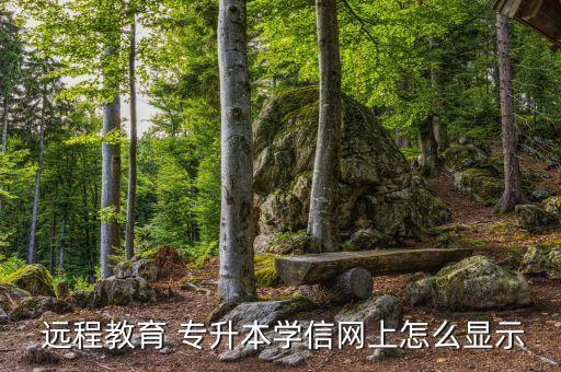  遠(yuǎn)程教育 專(zhuān)升本學(xué)信網(wǎng)上怎么顯示