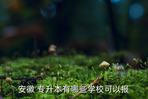 安徽 專升本有哪些學(xué)?？梢詧? class=