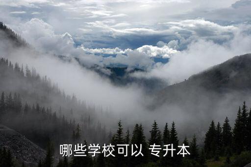 哪些學(xué)?？梢?專(zhuān)升本