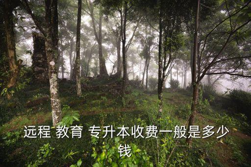 專升本的遠程教育,網(wǎng)絡(luò)教育學(xué)院68所學(xué)費不同招生計劃不同
