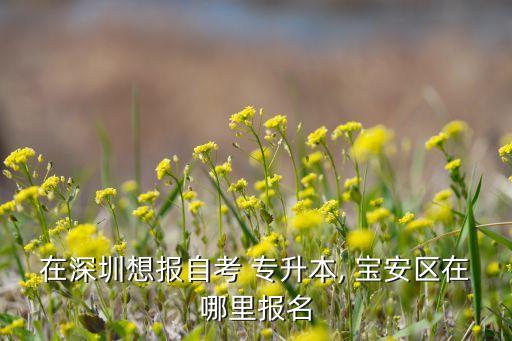 寶安專升本培訓(xùn)學(xué)校,從政府角度出發(fā)我國計劃統(tǒng)招專升本