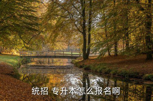 全日制專升本報(bào)名,統(tǒng)招專升本報(bào)名時間安排在大三
