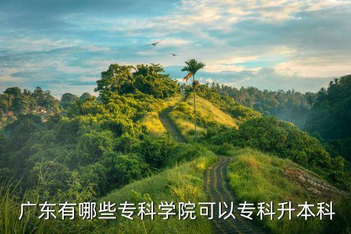 廣東專升本的?？茖W校,廣東十所民辦高校推出專升本"招生計劃