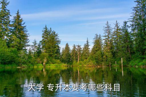 專升本大學(xué)數(shù)學(xué)經(jīng)貿(mào)類,理工科考試科目:高級(jí)數(shù)學(xué)，大學(xué)英語(yǔ)