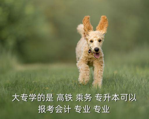 大專學的是 高鐵 乘務 專升本可以報考會計 專業(yè) 專業(yè)