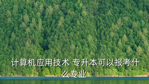  計算機(jī)應(yīng)用技術(shù) 專升本可以報考什么專業(yè)