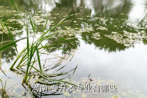  河南 專(zhuān)升本專(zhuān)業(yè)有哪些
