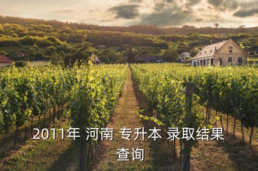 2011年 河南 專升本 錄取結果 查詢