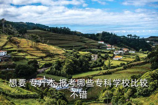 汕頭專(zhuān)升本報(bào)名,選擇自己的專(zhuān)業(yè)方向盤(pán)