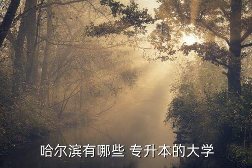  哈爾濱有哪些 專升本的大學