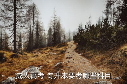 成人高考 專(zhuān)升本要考哪些科目