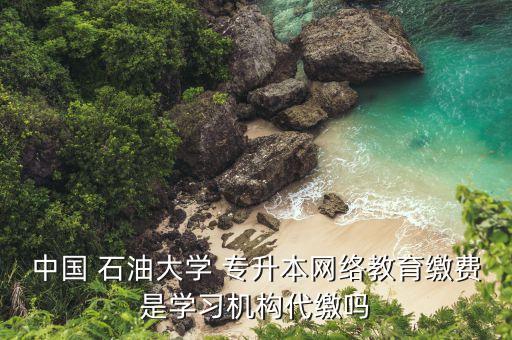 中國 石油大學(xué) 專升本網(wǎng)絡(luò)教育繳費是學(xué)習(xí)機構(gòu)代繳嗎