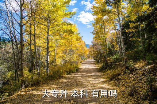 大專升本科有用嗎,專升本有用嗎?專科和本科學(xué)歷有何差別?