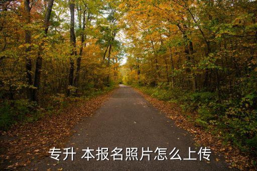  專升 本報(bào)名照片怎么上傳