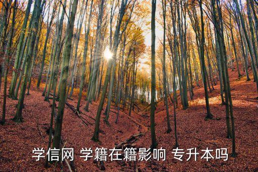  學(xué)信網(wǎng) 學(xué)籍在籍影響 專升本嗎