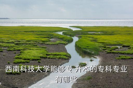 西南科技大學(xué)能夠?qū)?升本的?？茖I(yè)有哪些