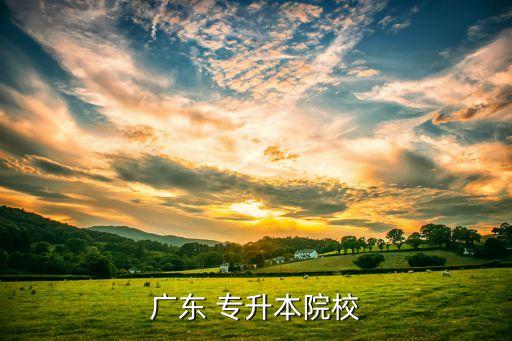 廣州遠(yuǎn)程教育專升本的學(xué)校,專升本有哪些學(xué)校開設(shè)