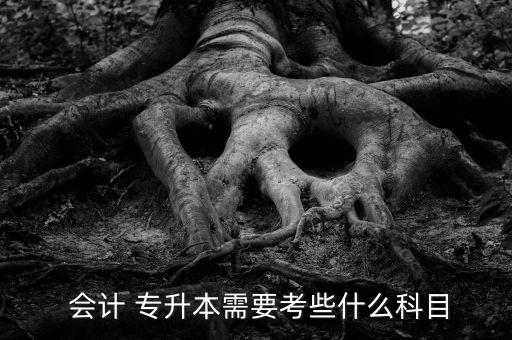 會(huì)計(jì)專(zhuān)升本要看什么書(shū),會(huì)計(jì)專(zhuān)升本考試科目有哪些?