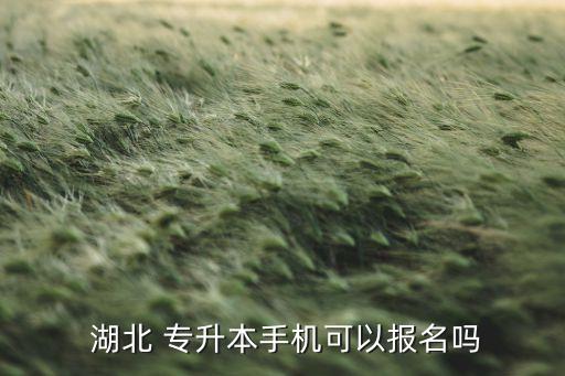 湖北教育信息網(wǎng)專升本,湖北普通專升本報名網(wǎng)上進行咨詢