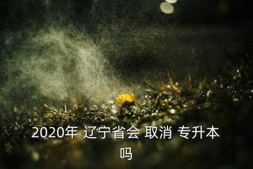 遼寧取消專升本2018,專升本考試范圍擴大報考高等學府專業(yè)