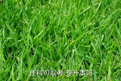  掛科可以考 專(zhuān)升本嗎