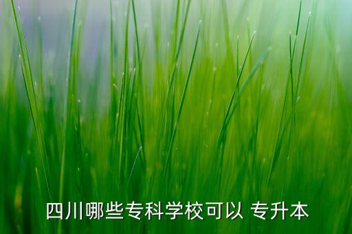  四川哪些?？茖W(xué)?？梢?專升本