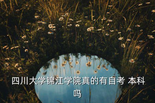  四川大學錦江學院真的有自考 本科嗎