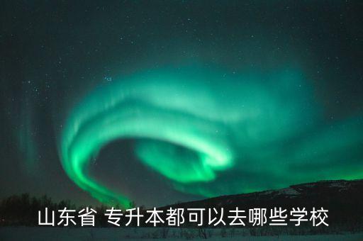 山東美術(shù)專升本,確定2020年專升本報名山東省網(wǎng)上報名