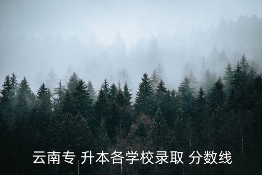 云南農(nóng)大專升本分數(shù)線,專業(yè)升本錄取分數(shù)線各校有所不同