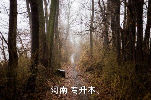 河南省專升本英語真題耶魯,河南省統(tǒng)考英語專升本不分專業(yè)