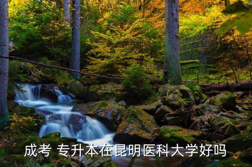 成考 專升本在昆明醫(yī)科大學好嗎