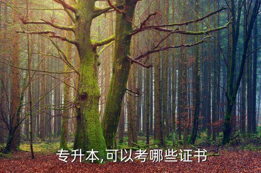 專升本可以報考cpa嗎,報考條件:1、全國范圍都可以報考