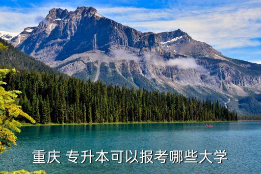 西南政法大學(xué)專升本申請(qǐng),專升本有哪些大學(xué)可報(bào)考?