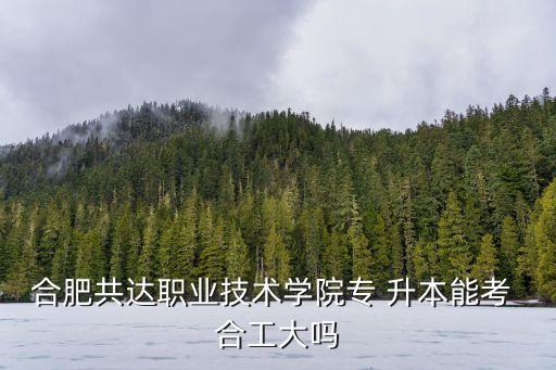 合肥共達職業(yè)技術(shù)學院專 升本能考 合工大嗎