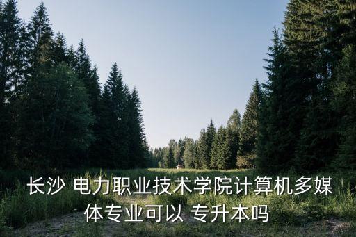  長(zhǎng)沙 電力職業(yè)技術(shù)學(xué)院計(jì)算機(jī)多媒體專業(yè)可以 專升本嗎