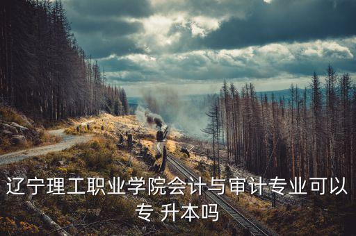 遼寧理工職業(yè)學院會計與審計專業(yè)可以專 升本嗎