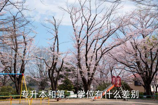 專升本學士學位區(qū)別,選擇自己擅長的領(lǐng)域或?qū)I(yè)方向