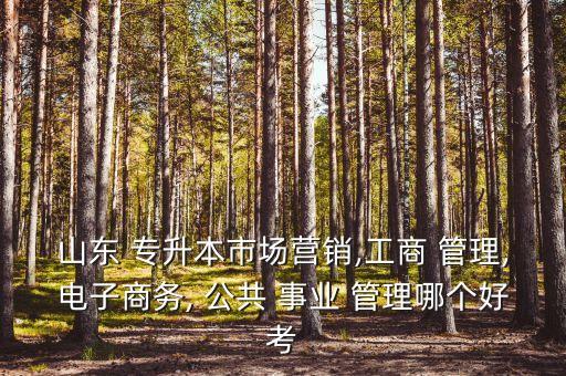 山東 專升本市場(chǎng)營(yíng)銷,工商 管理,電子商務(wù), 公共 事業(yè) 管理哪個(gè)好考