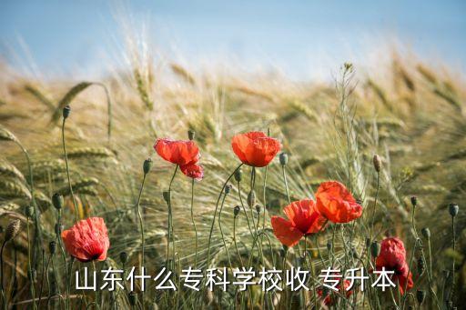 山東現代學院專升本,山東專升本院校名單出爐