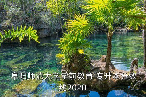  阜陽師范大學學前教育 專升本分數(shù)線2020
